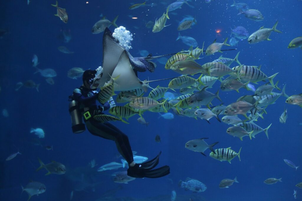 Scuba Diving In Benidorm.jpg