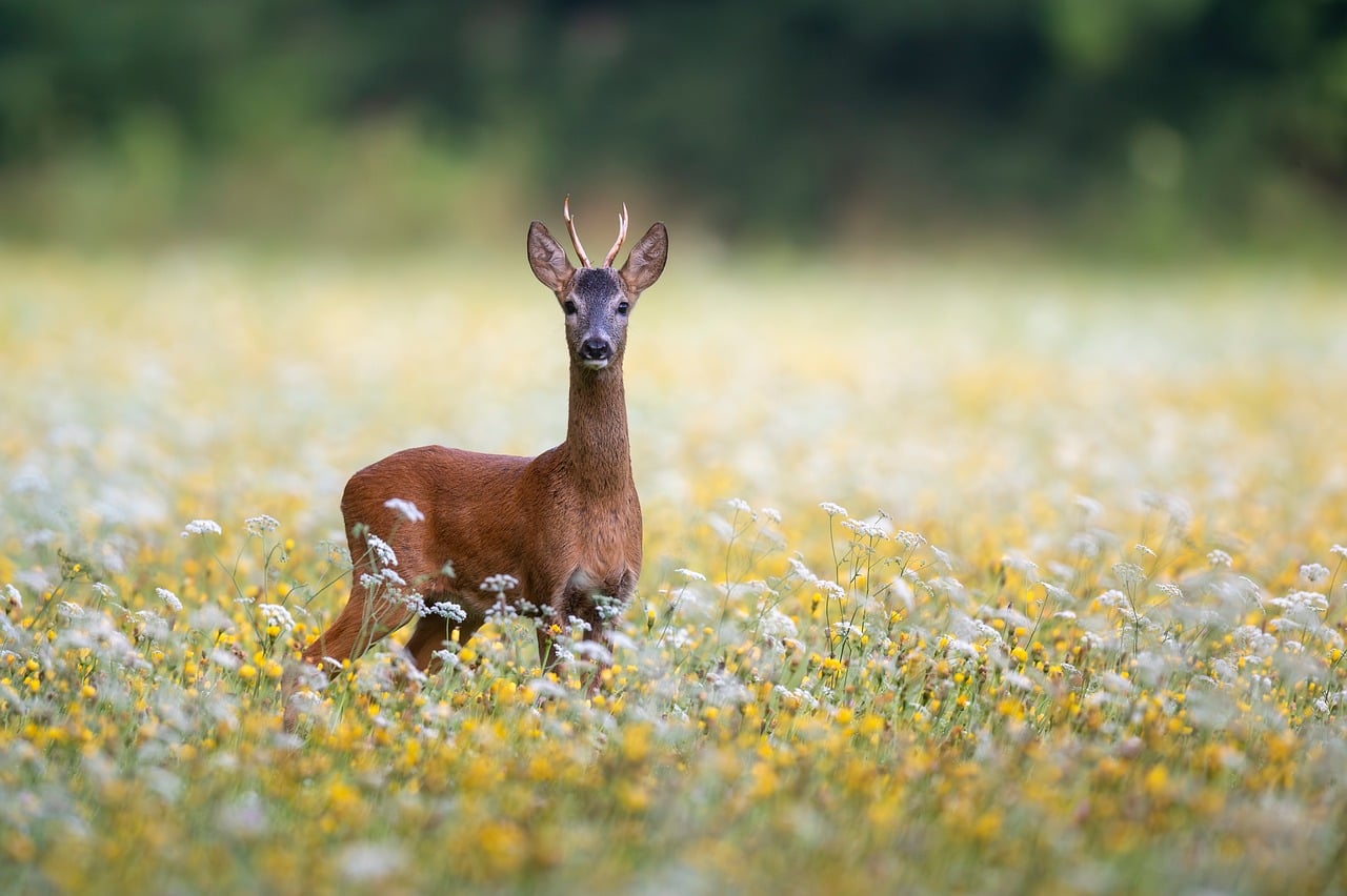 How to Choose the Right Stag Do Package and Save Money in the UK